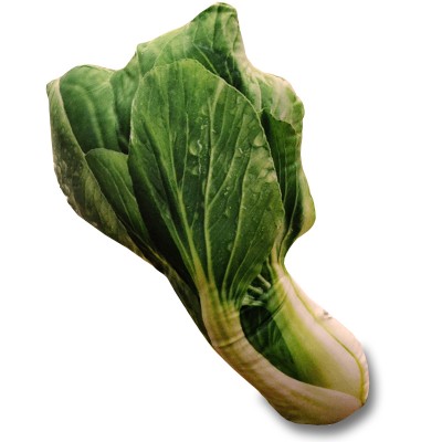仿真蔬菜抱枕