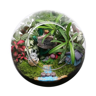 苔藓微景观玻璃小盆栽