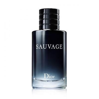 Dior/迪奥旷野男士香水
