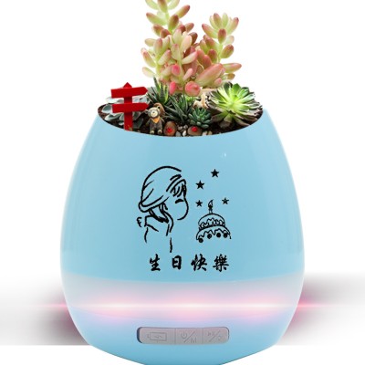 会唱歌的盆栽音箱